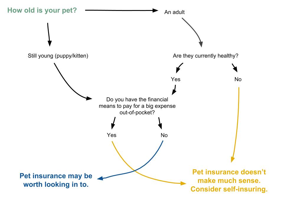 What Should I Know Before Buying Pet Insurance