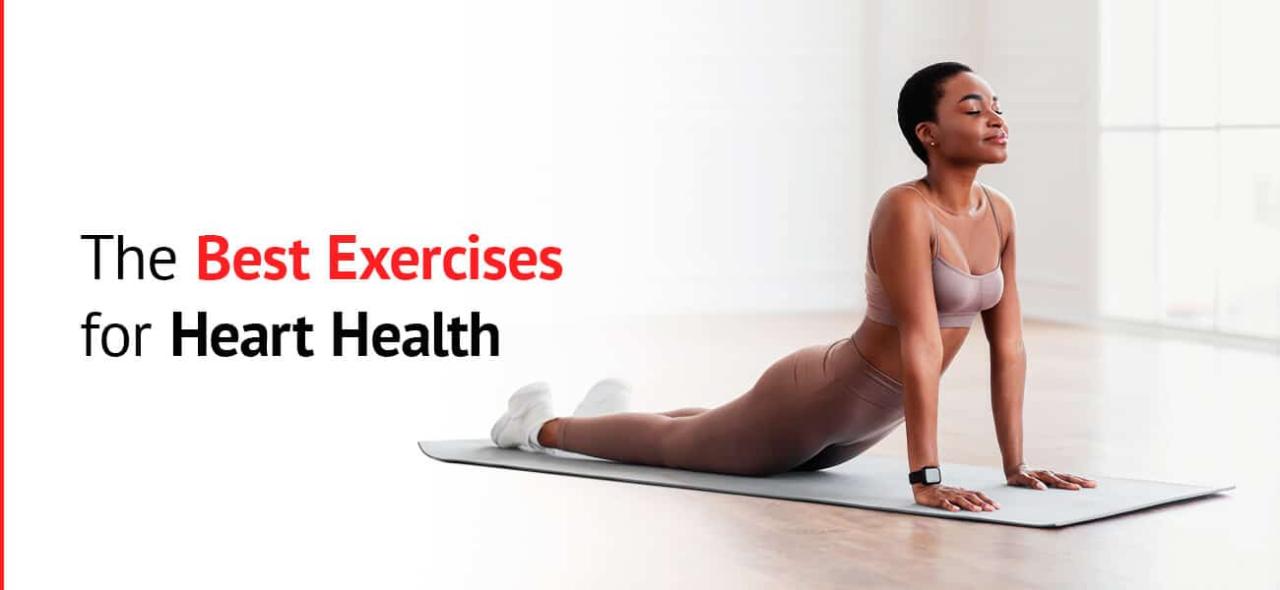 Elevate Heart Health The Power of Cardiovascular Exercise ... Simple Exercises For Better Cardiovascular Health