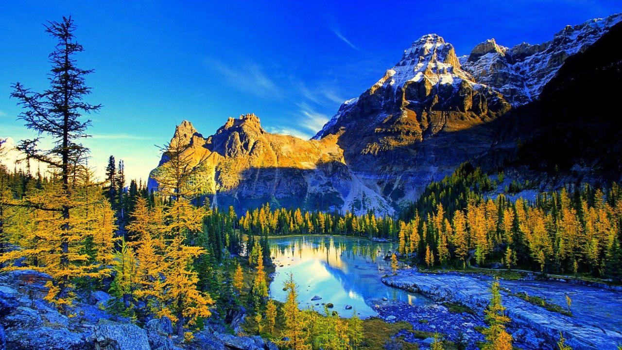 Nature 4K Wallpapers - Wallpaper Cave What Are The Effects Of Dehydration On Health